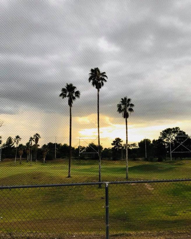 43322860_1923337151043544_4728055052051152896_n